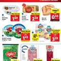 lidl 4 a 10 janeiro